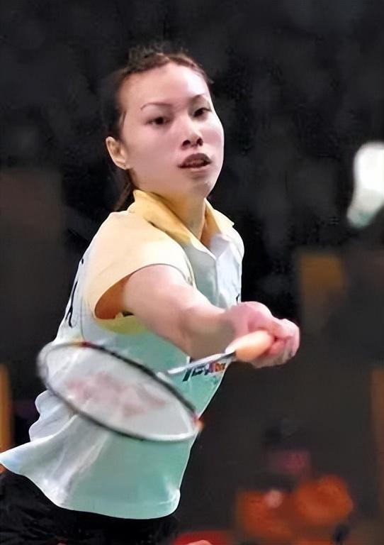 下引入视频 下引入视频