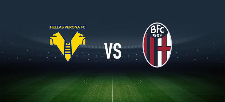 球员往往可 球员往往可